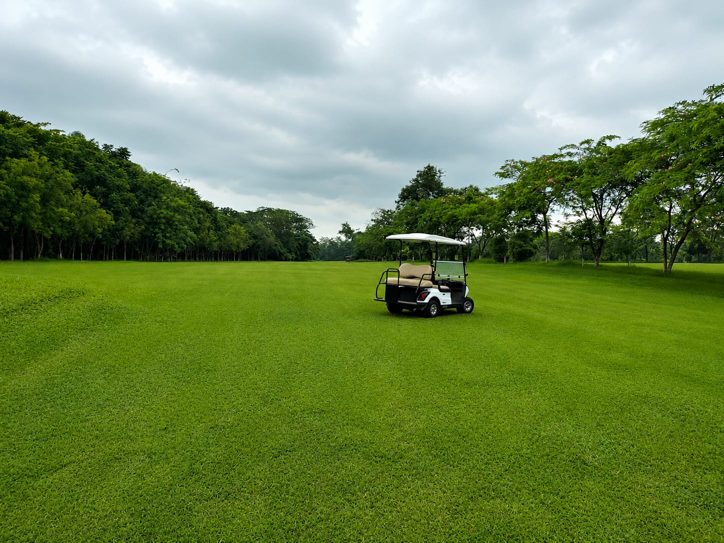 Misa Polo Club venue